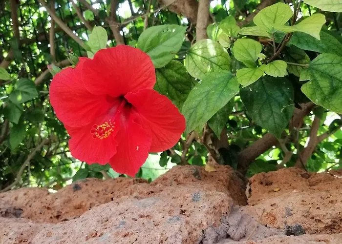 La Casa Paradise Grande Terrasse Cl *